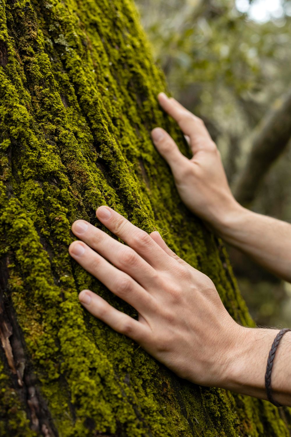 Eine Hand berührt beim Waldbaden die moosbewachsene Rinde eines Baumes
