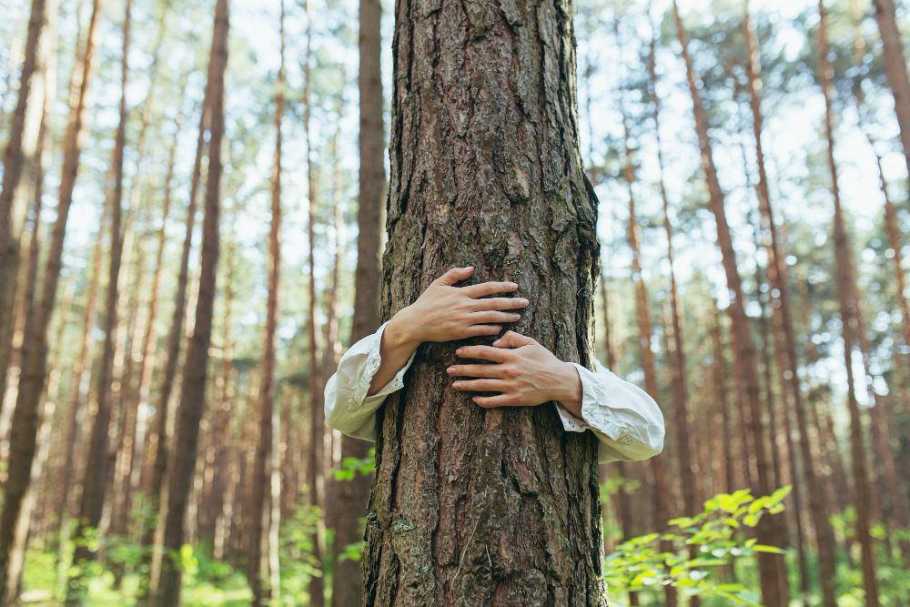 Achtsamkeit im Wald, ruhiger Moment zwischen Bäumen