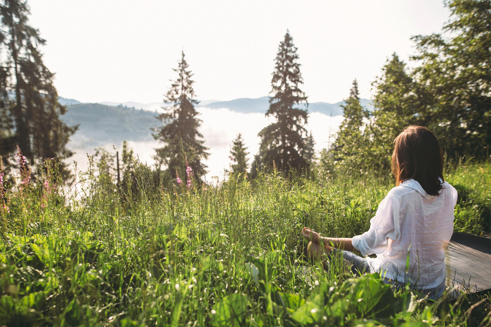 Waldbaden Impression – Natur pur und Entspannung