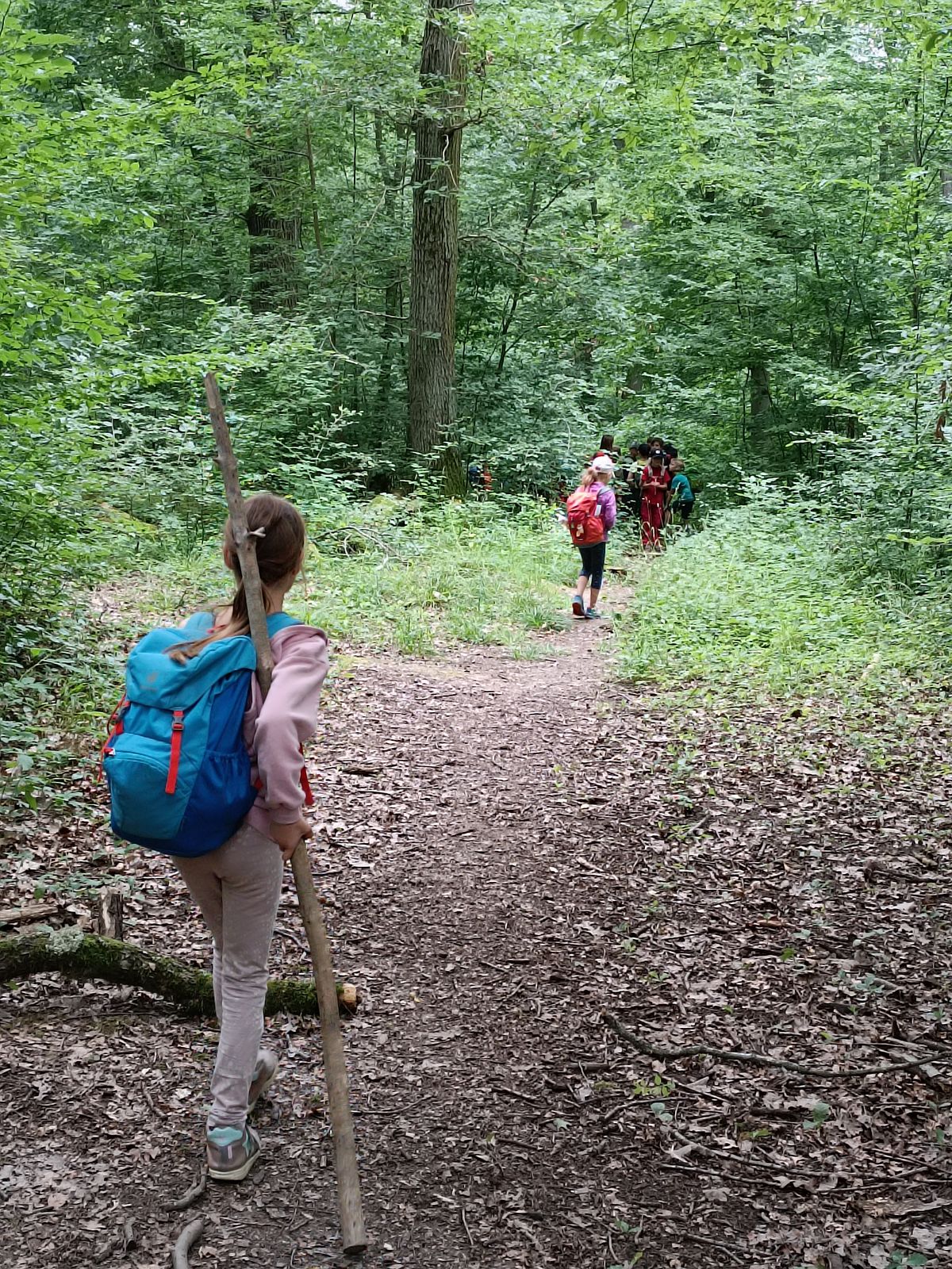 Kindergruppe wandert durch den Bad Vilbeler Wald