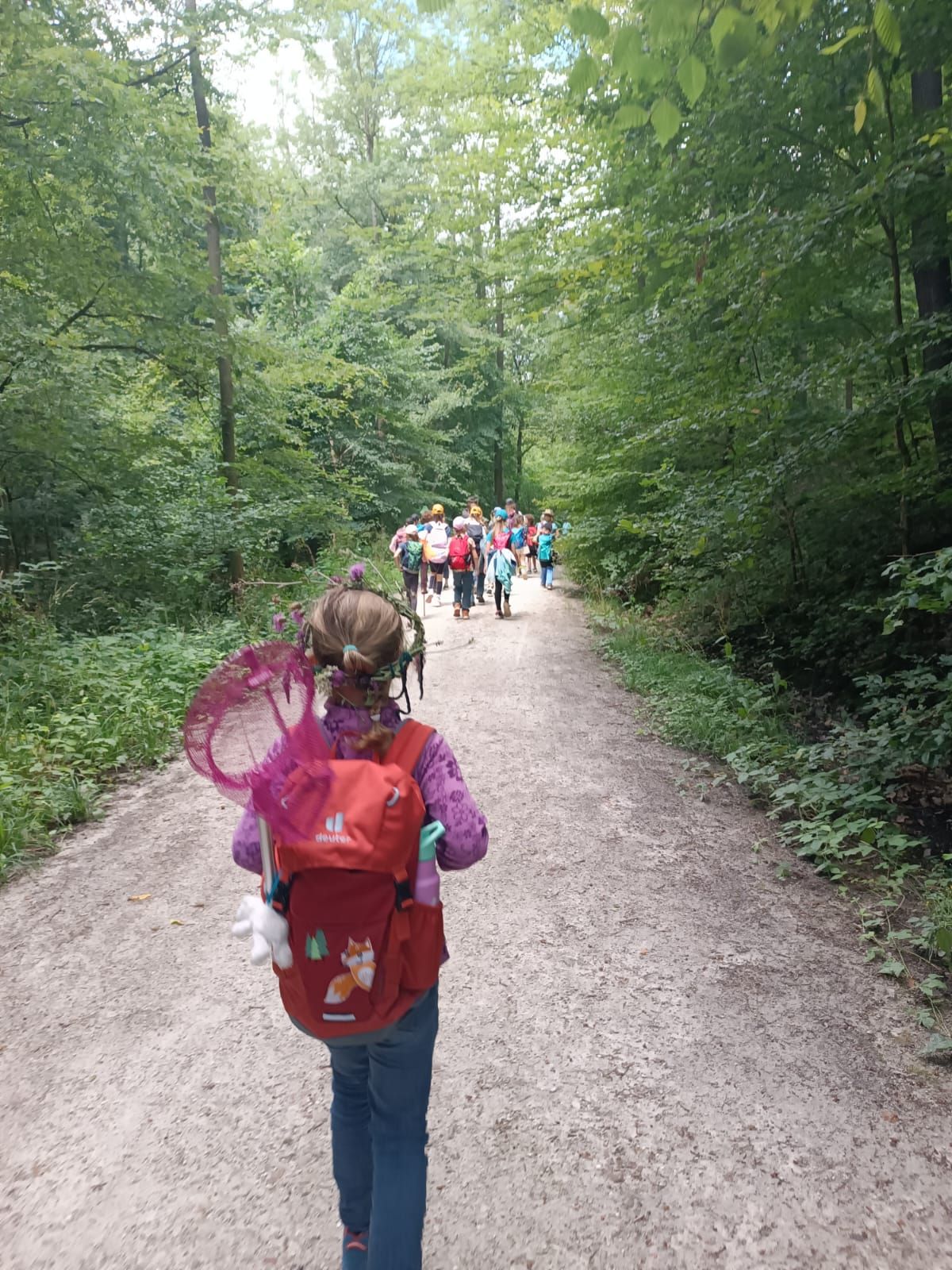Kindergruppe erkundet auf einem Waldweg den Bad Vilbeler Wald
