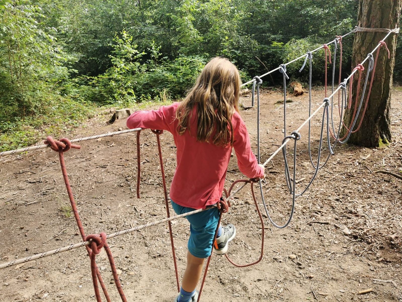 Waldwoche: Seilkonstruktionen zwischen Bäumen im Bad Vilbeler Wald