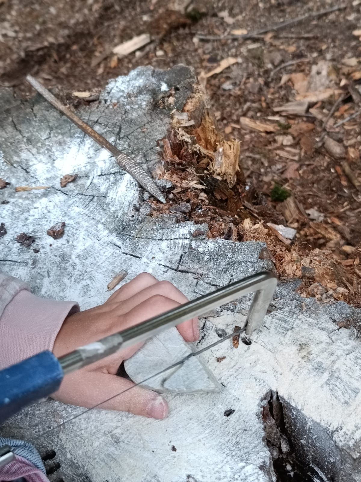 Kinder bearbeiten Speckstein während der Waldwoche im Bad Vilbeler Wald